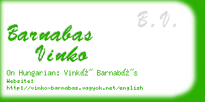 barnabas vinko business card